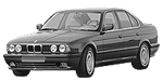 BMW E34 P183E Fault Code